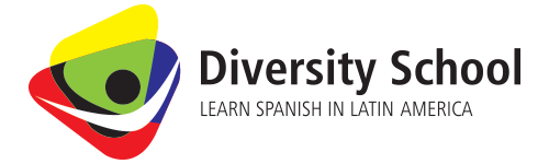 Diversity School Logo